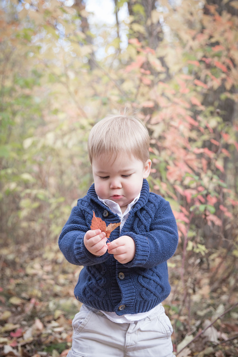 a photo of a young boy looking a leaf in the fall time