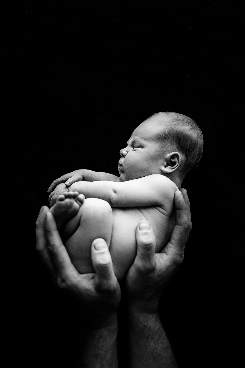 newborn photo of a baby boy cradled in his father's hands