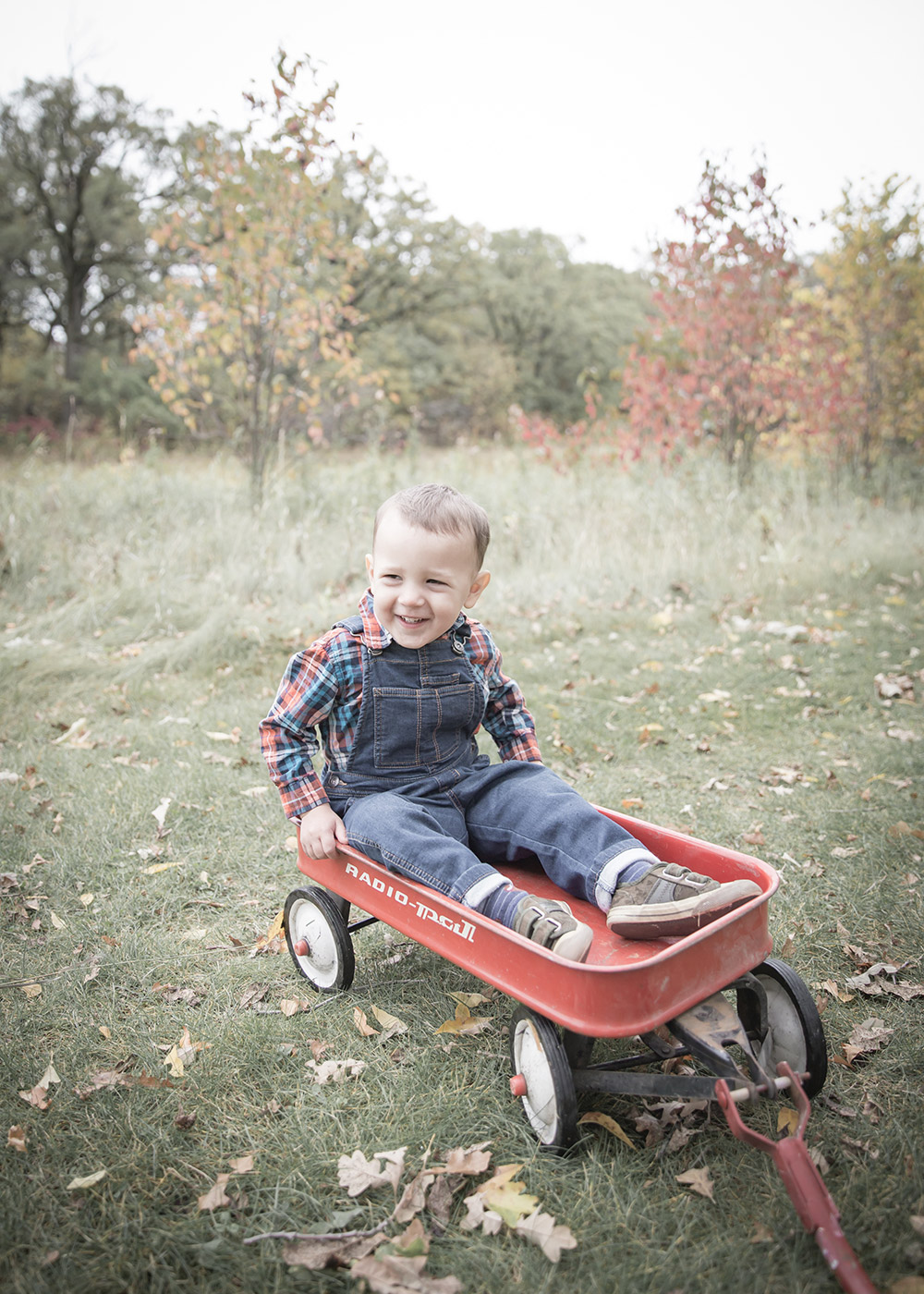 a photo of a little boy sitting in a red rustic wagon in the fall time
