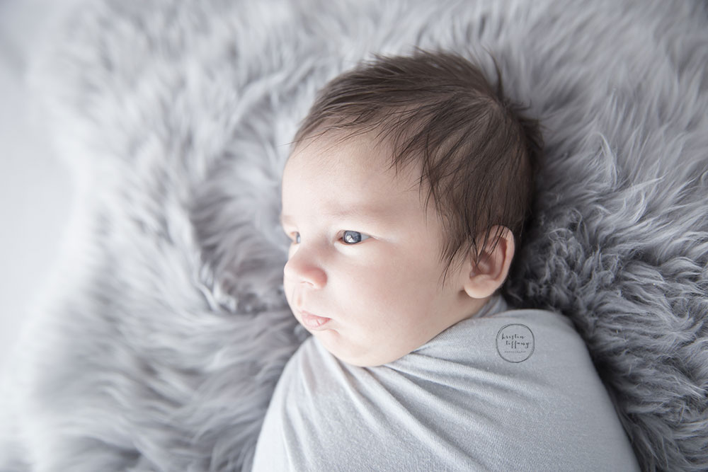 a photo of a newborn baby boy, swaddled on a fur rug