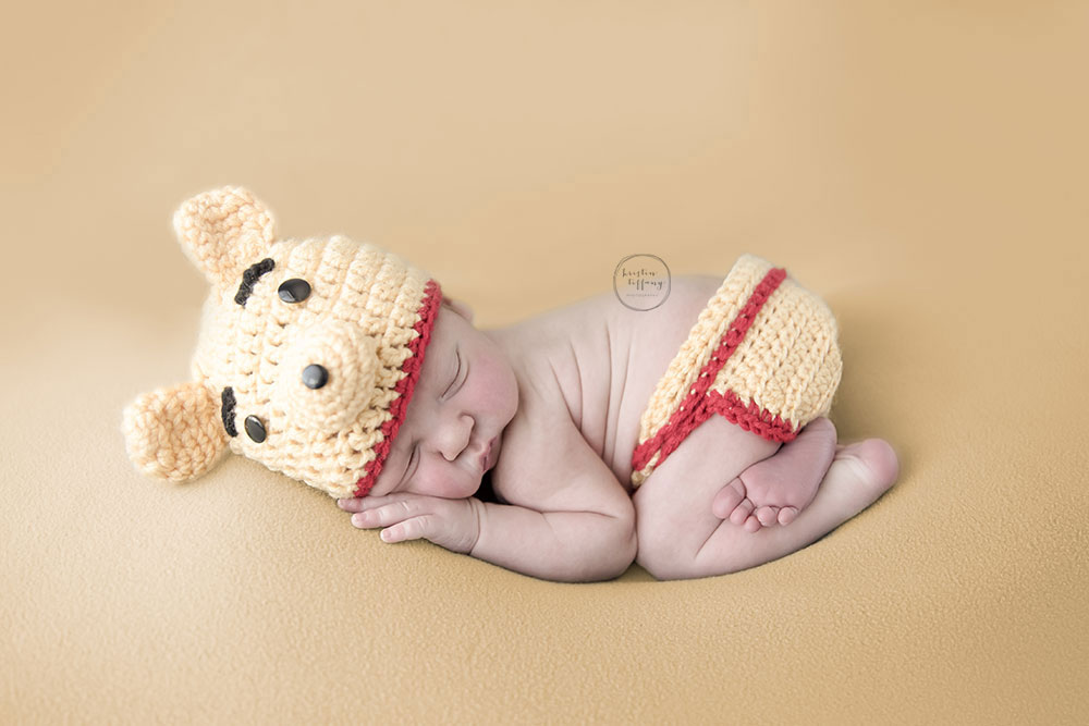 a photo of a newborn baby boy as winnie the pooh
