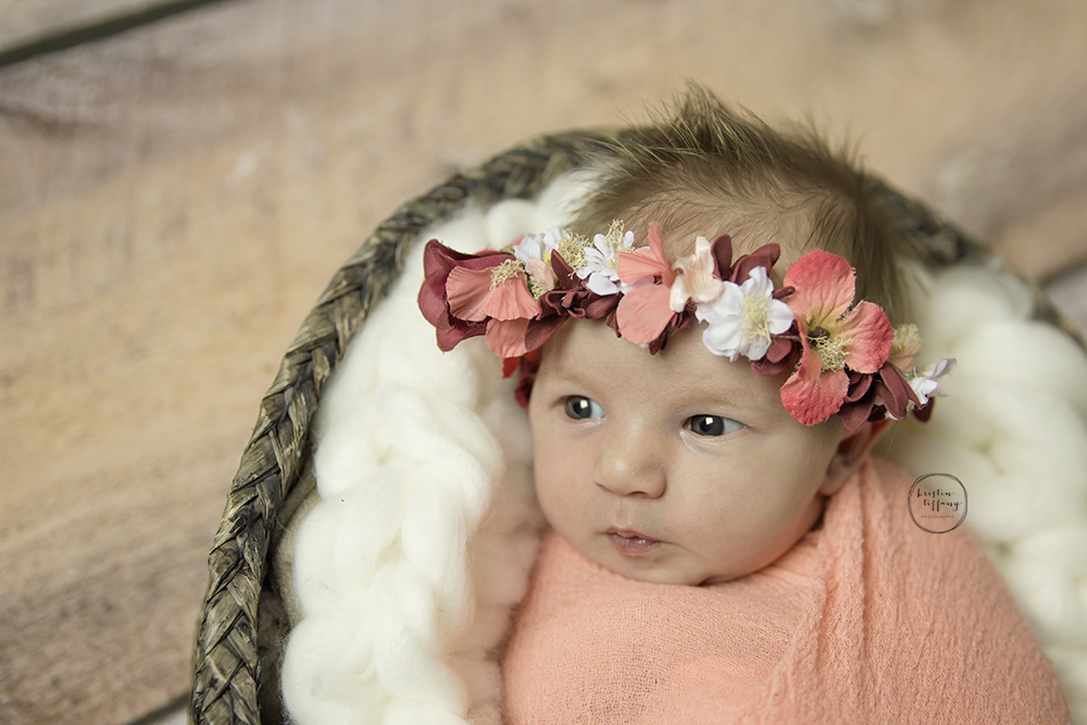a photo of a newborn baby girl posed in a basket wearing a floral crown