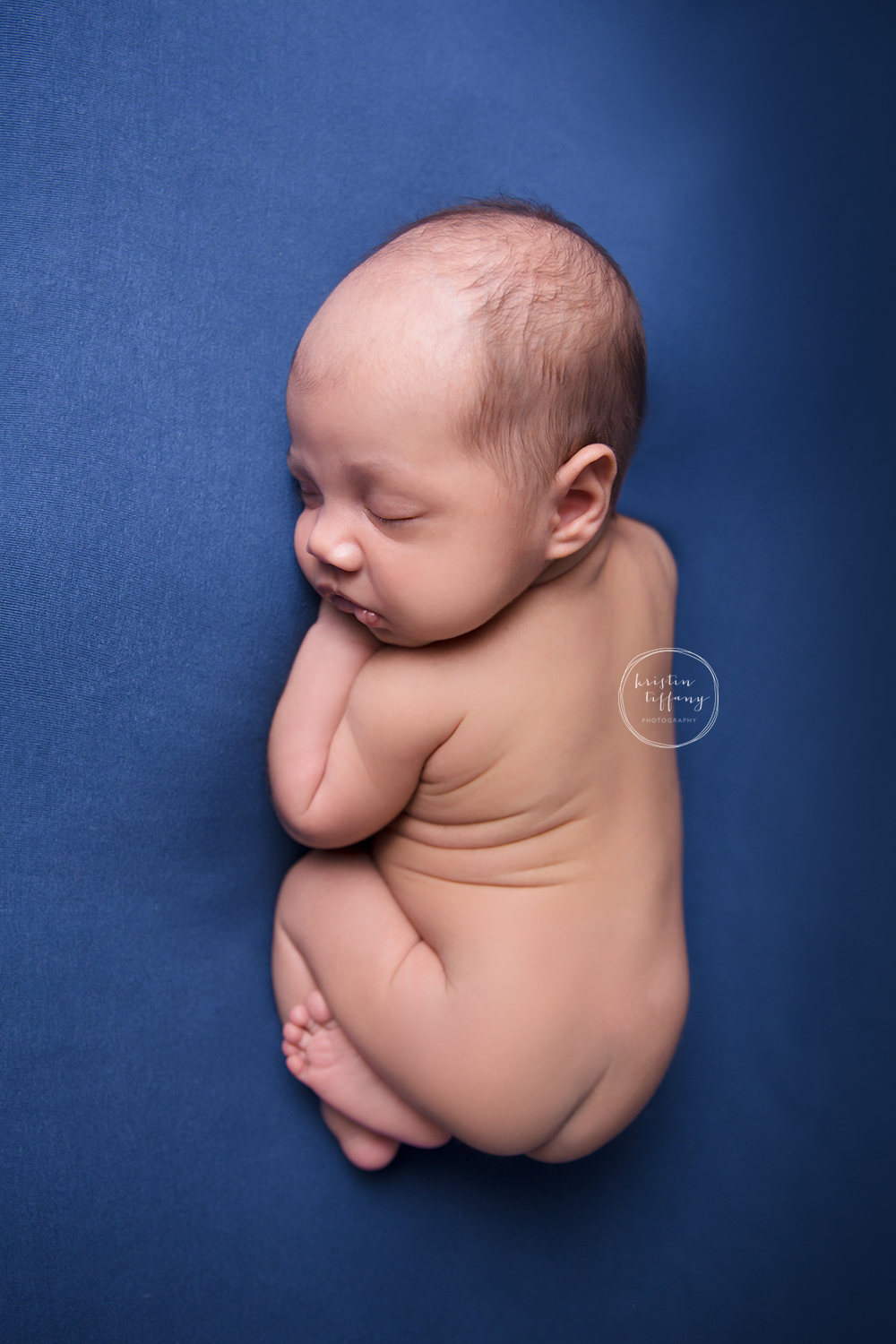 a photo of a posed newborn baby boy