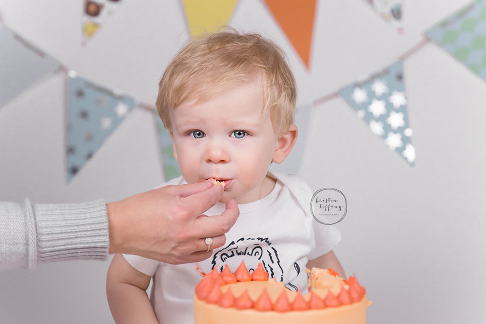 a photo from a lion themed cake smash session