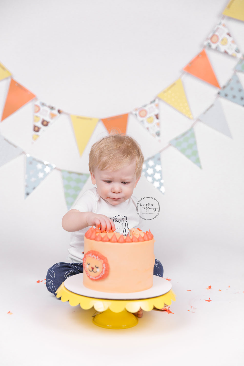 a photo from a lion themed cake smash session