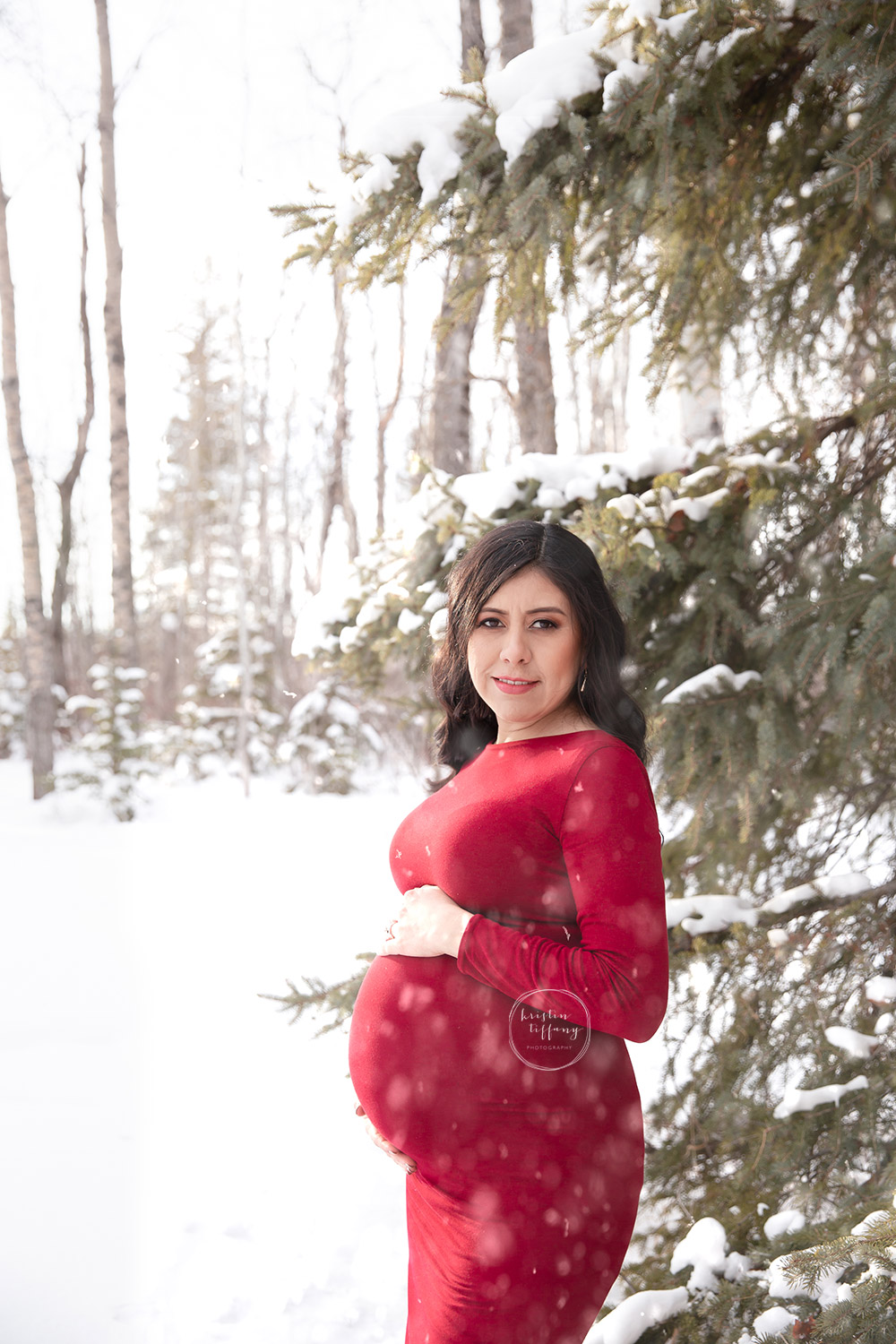 a maternity photo of woman in a red gown by a snowy tree