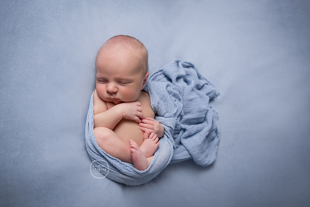 a posed newborn session of a baby boy