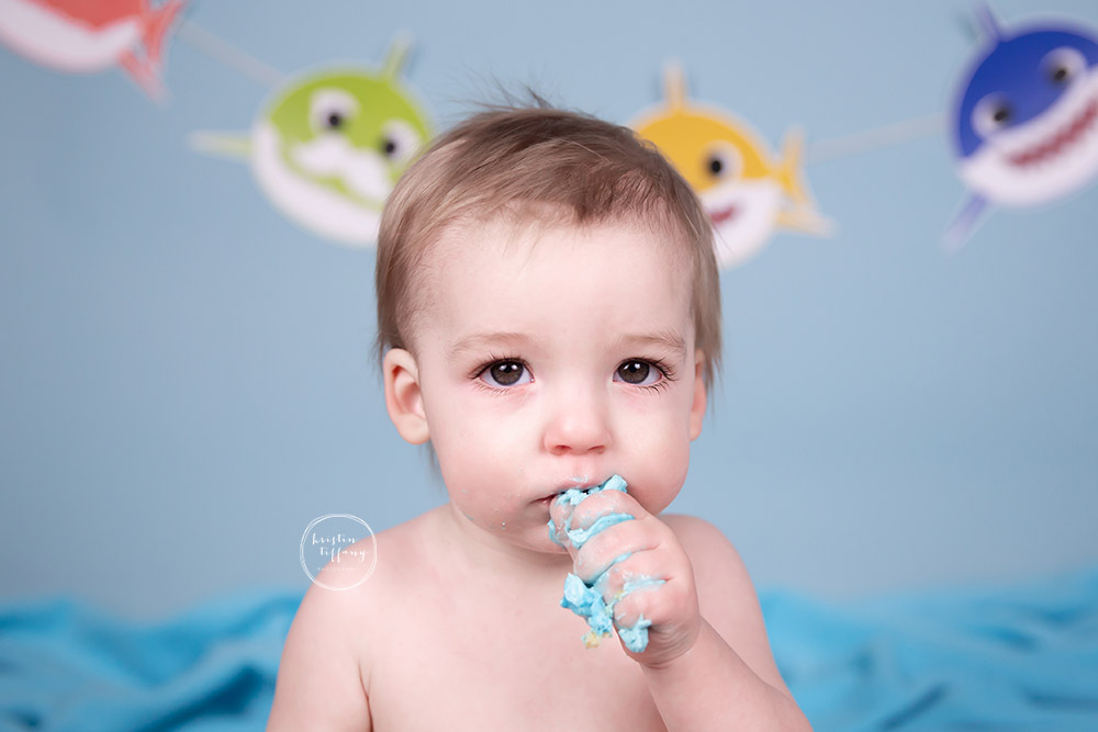 a photo from a baby shark themed cake smash session