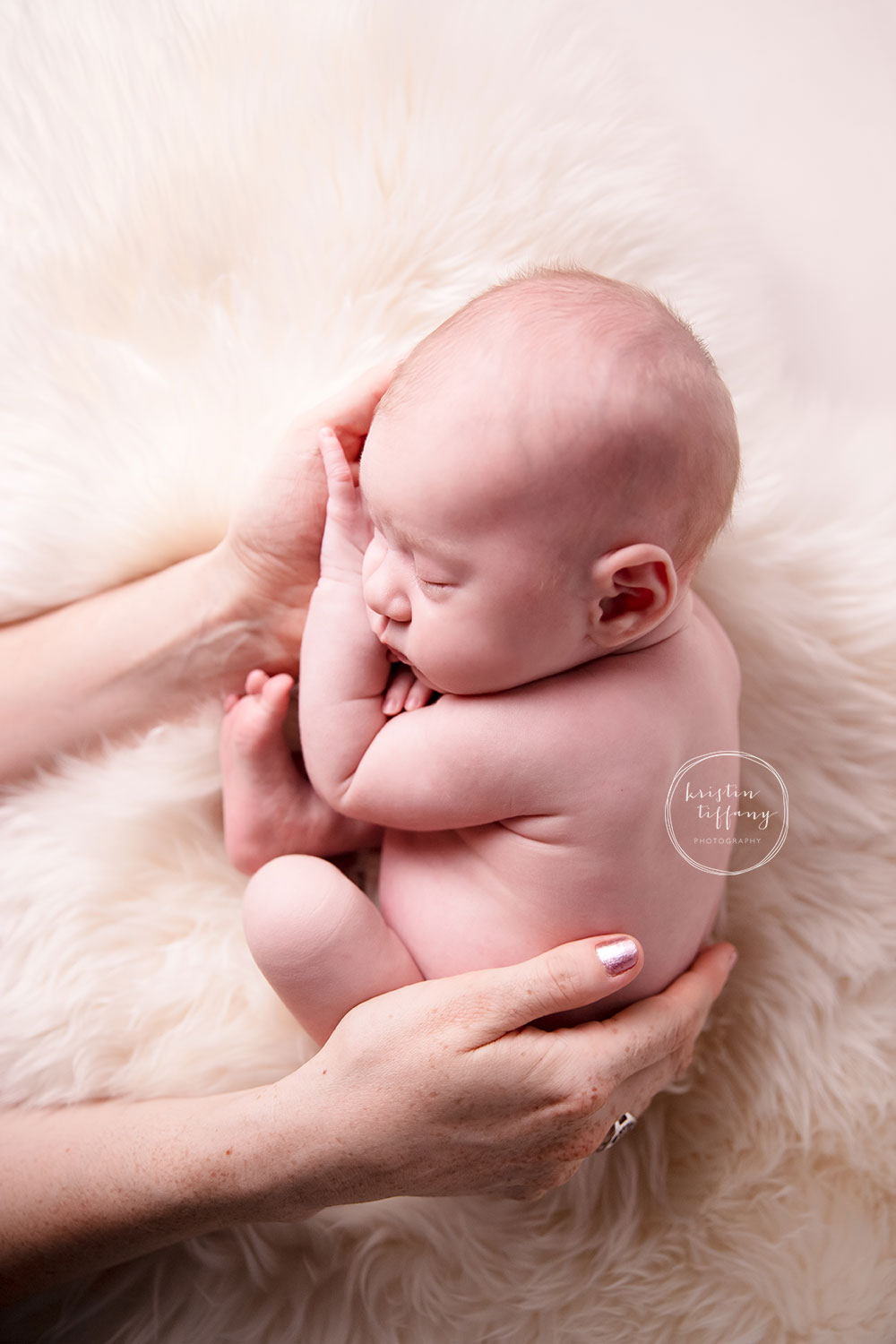 a photo of a baby girl at her newborn session