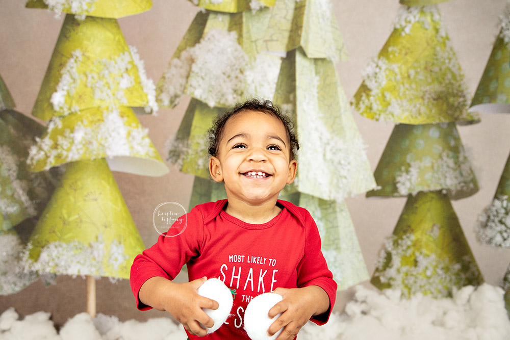 a photo from a christmas mini session