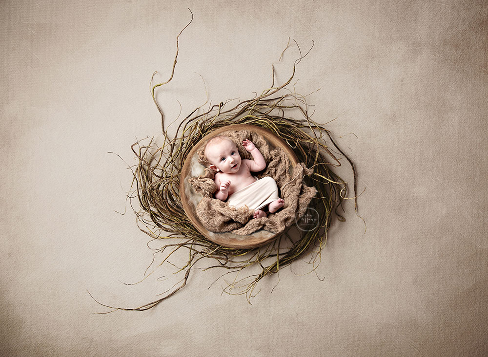 a newborn composite photo by kristin tiffany photography